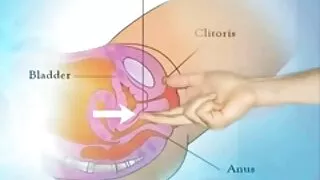 아도라 벨은 그녀의 친구의 아버지의 아시안 포르노 거시기에 올라.