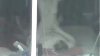 여자는 섹스. 셱스 비디오