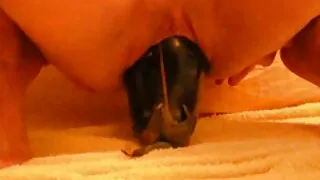 자지를 본 포로노 비디오 후 잤어요.